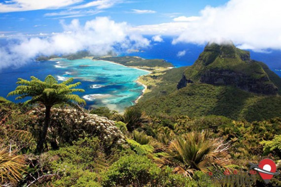 Lord Howe Island (6)