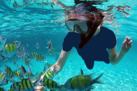 snorkeling phi phi