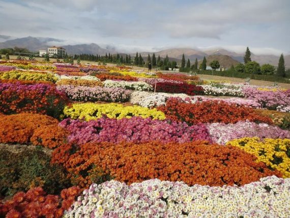 با باغ گیاه شناسی تهران آشنا شوید!