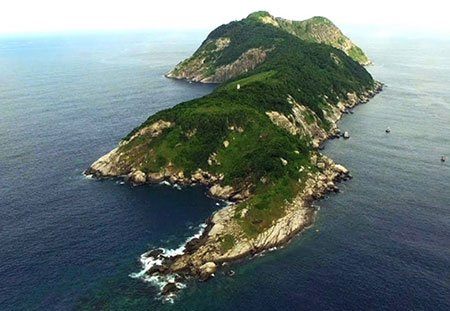 جزیره ی مارها در برزیل / ناقوس مرگ برای توریست ها!